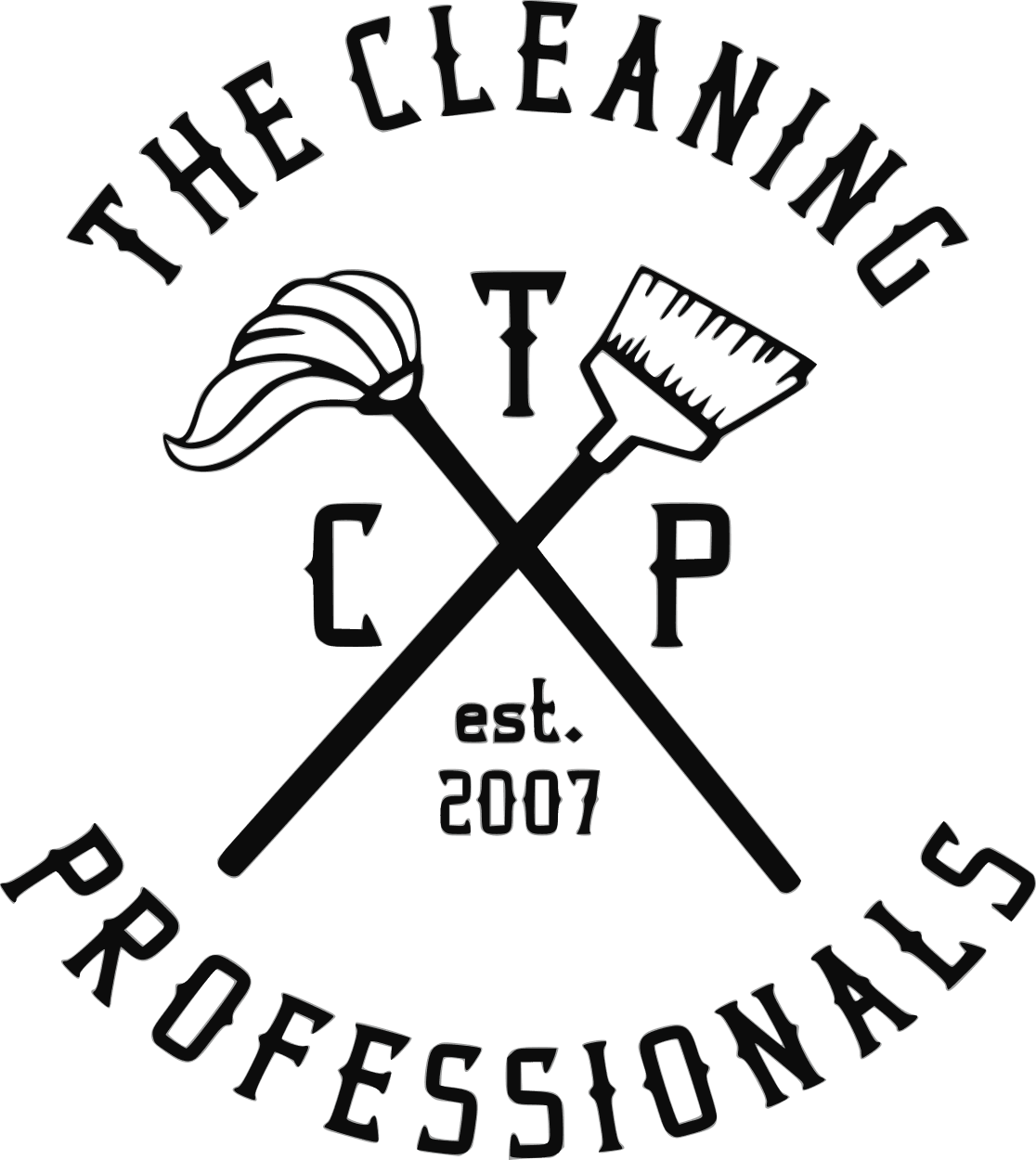 the cleaning professionals