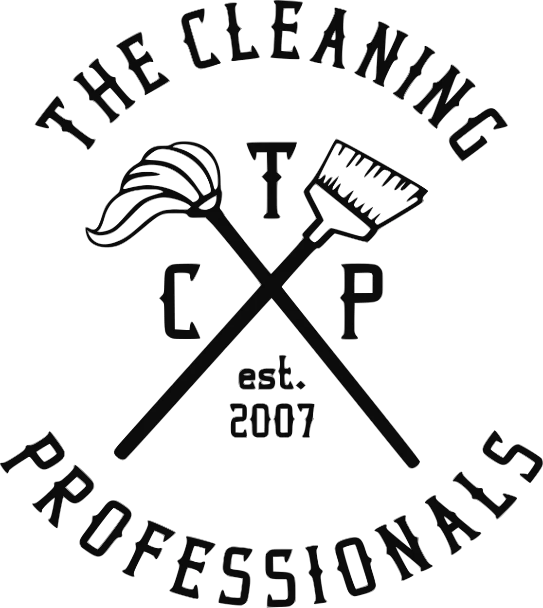 the cleaning professionals